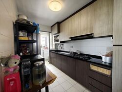 Blk 476B Hougang Capeview (Hougang), HDB 5 Rooms #566223171